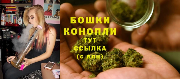 хмурый Нягань