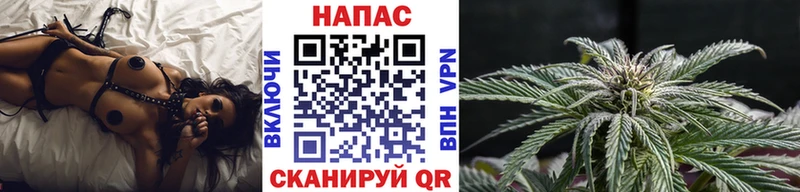 Шишки марихуана OG Kush  купить  сайты  mega ссылка  Усть-Катав 